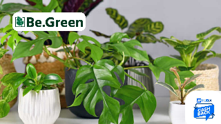 Rendi la tua casa più verde con Be.green e scopri il vantaggio del cashback su Hubix